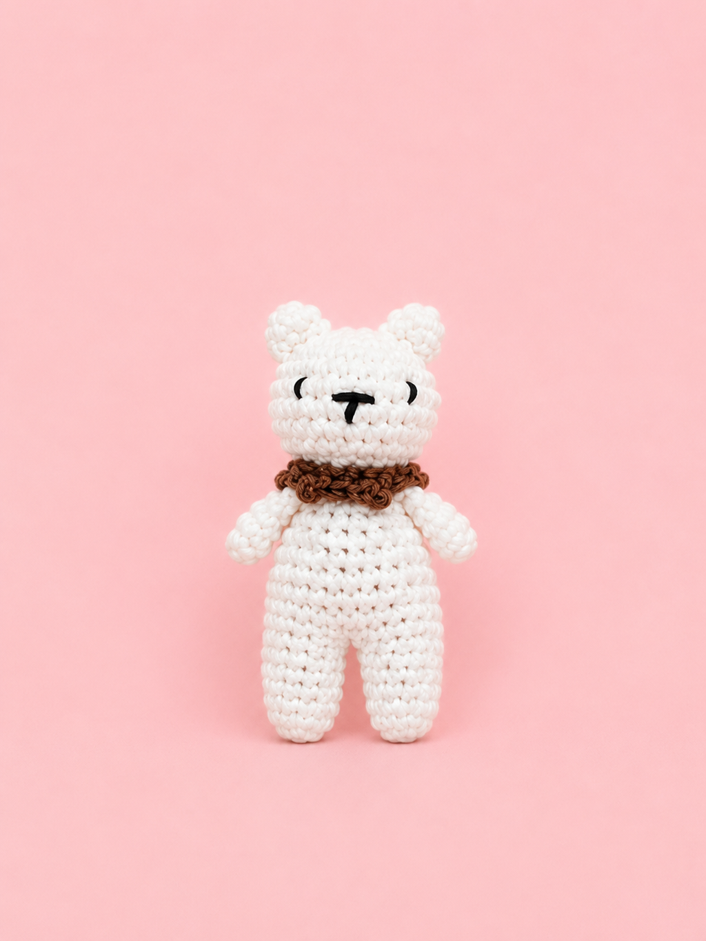 Palm Bear