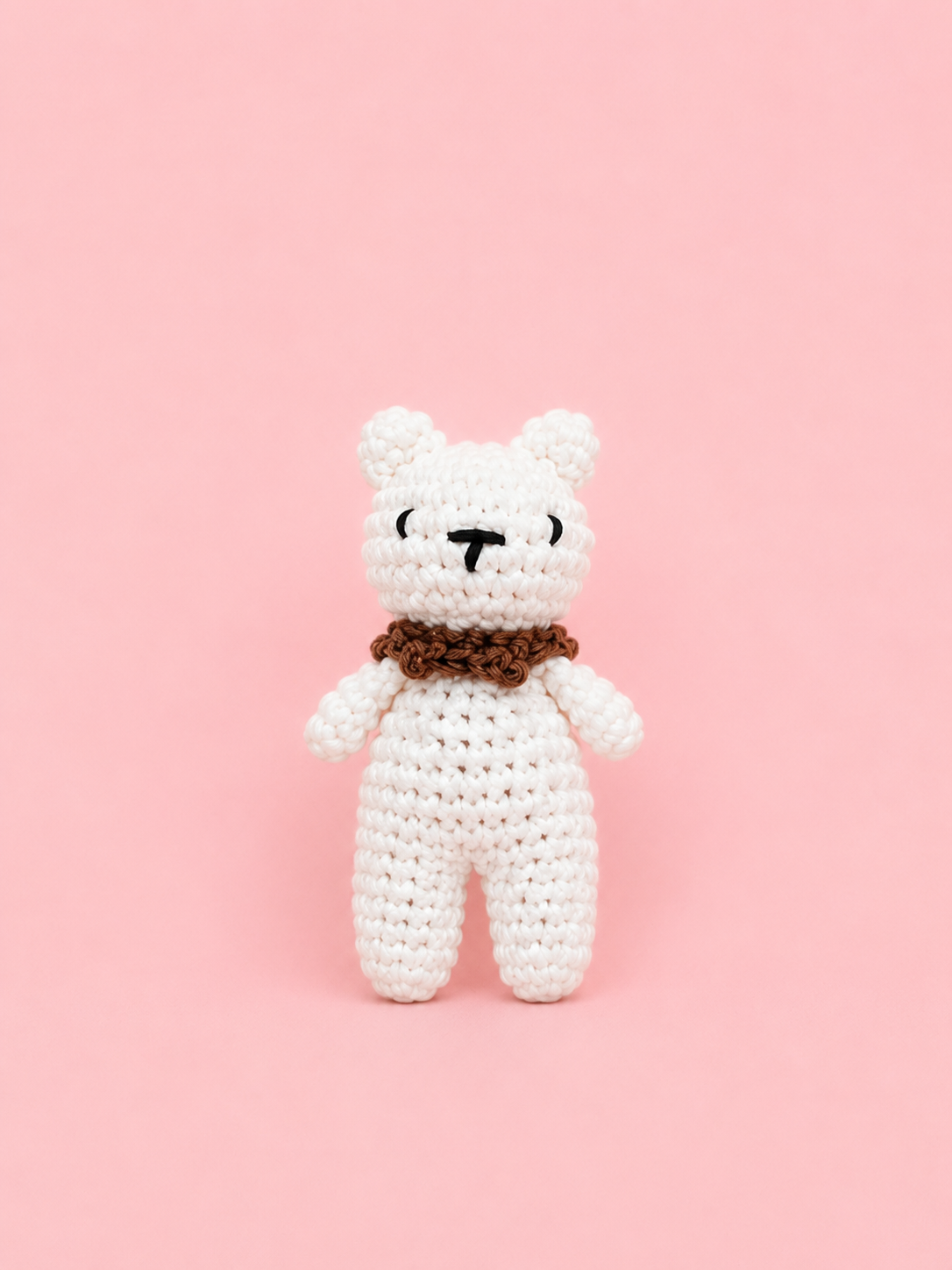 Palm Bear