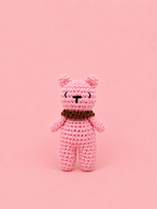 Palm Bear